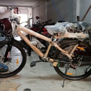 Neelam Bicycle