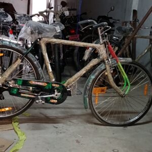 Vishail cycle