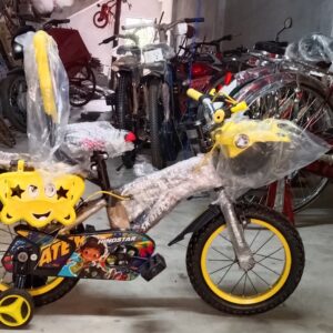 Hindstar Bicycle