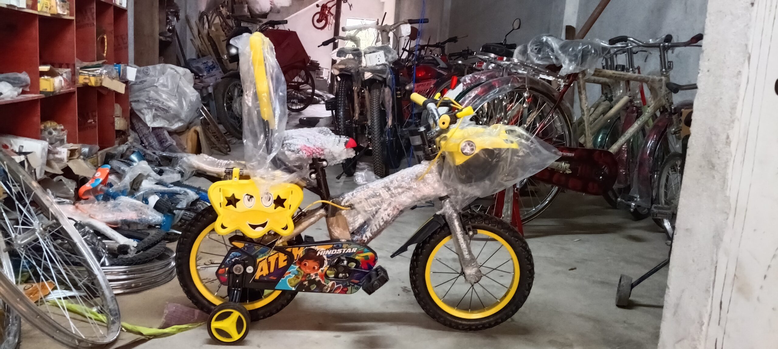 Hindstar Bicycle