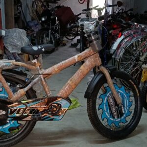 Neelam Bicycle