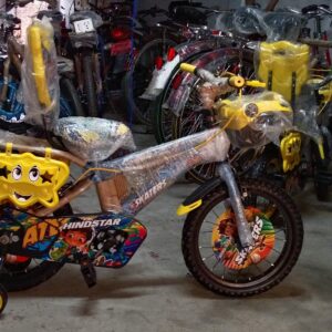 Hindstar Bicycle