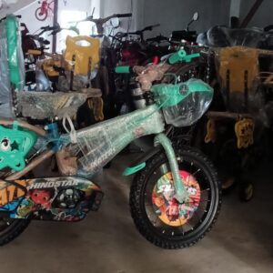 Hindstar Bicycle