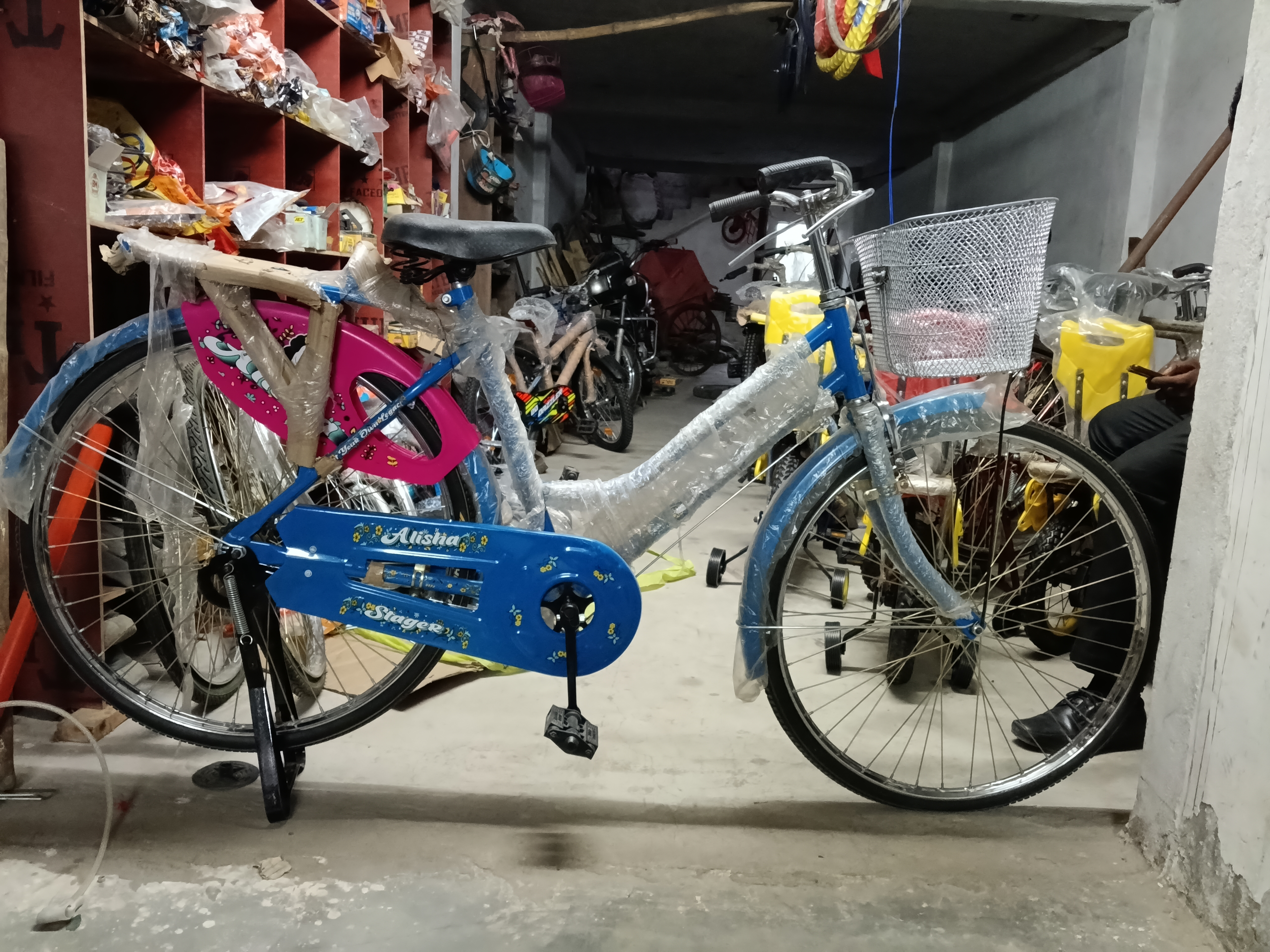 Alisha Bicycle